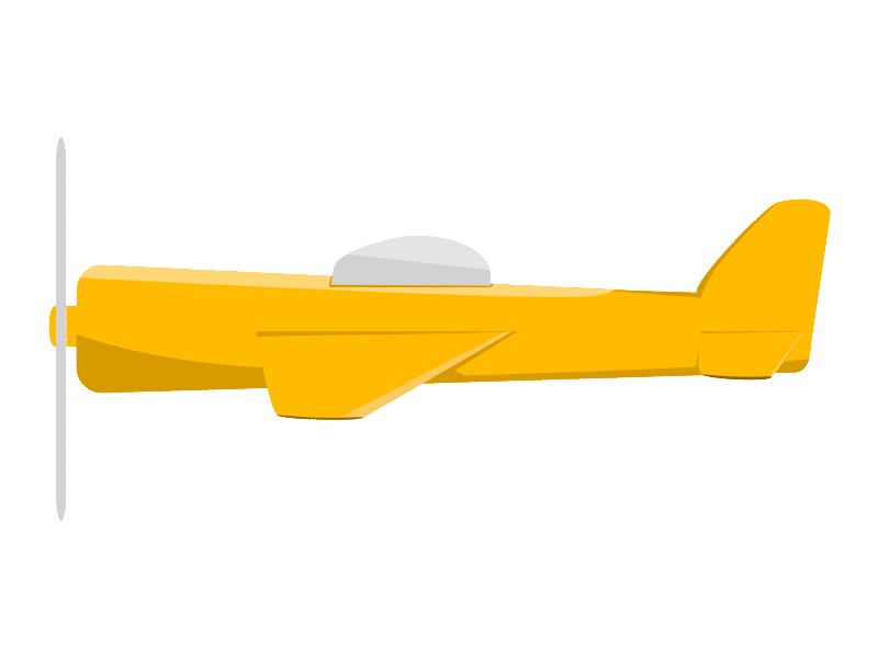 Plane with side view
